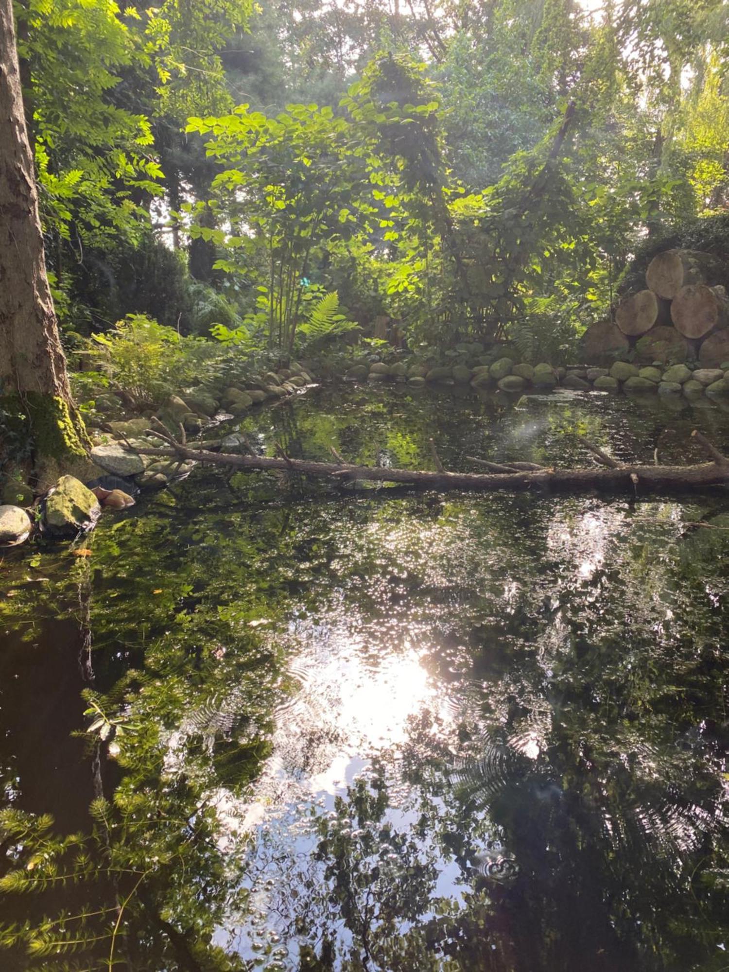 Ferienwohnung Auf Einem Resthof Zentral Gelegen Mit Viel Natur Und Tieren Rendswuhren Luaran gambar