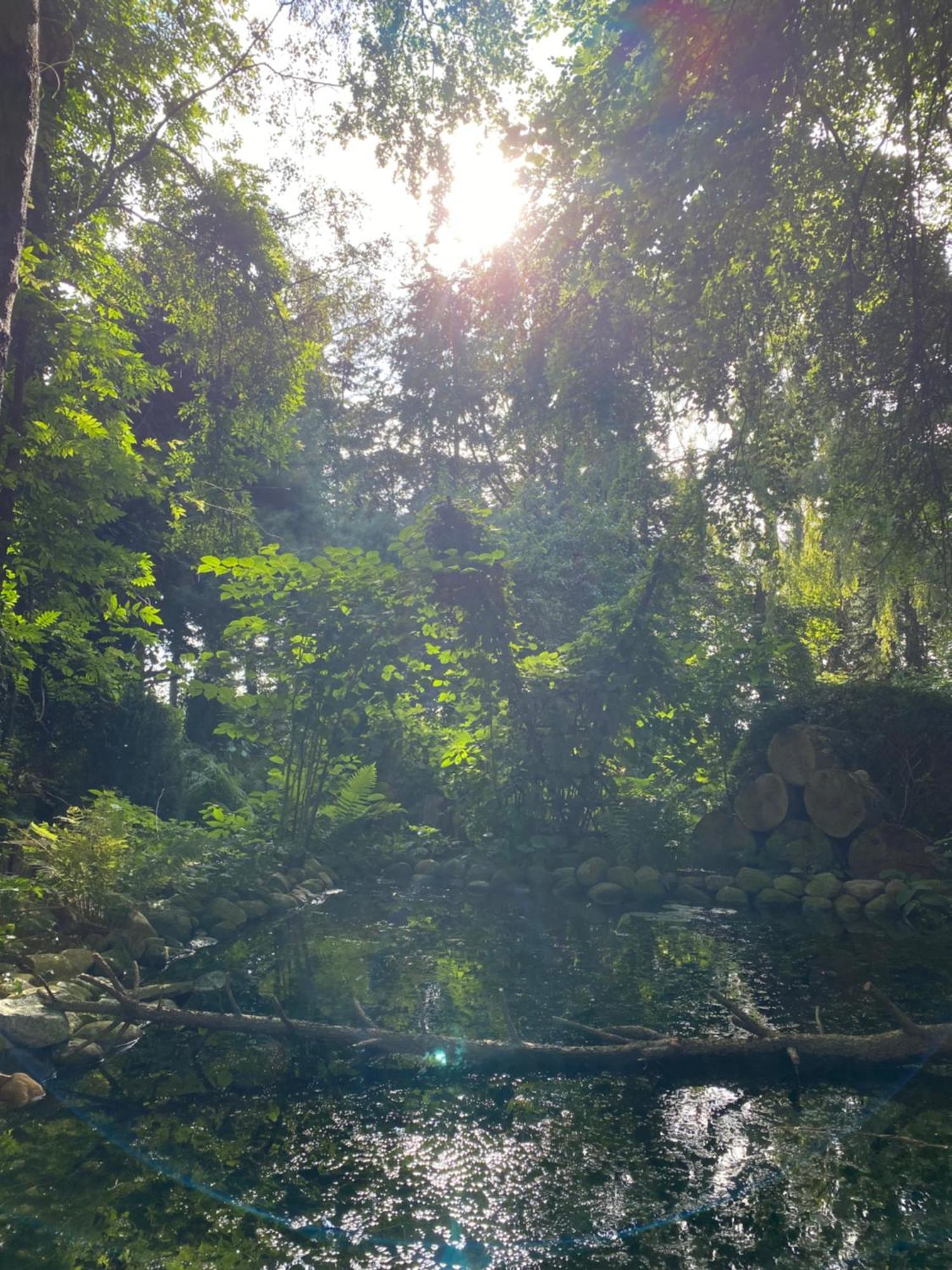 Ferienwohnung Auf Einem Resthof Zentral Gelegen Mit Viel Natur Und Tieren Rendswuhren Luaran gambar
